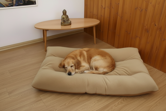Le Refuge confort -coussin cocon premium