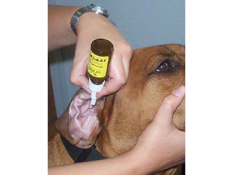 cdVet Nettoyant pour les oreilles Soins des oreilles, 20 ml