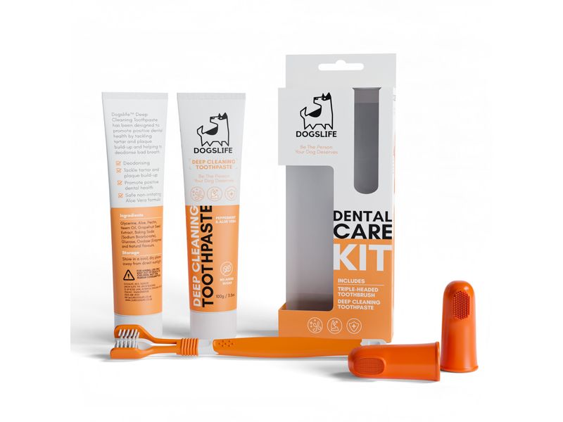 DogsLife Nettoyage des dents Kit dentaire