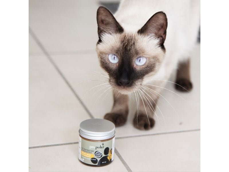 Propolia Baume pour la peau et les pattes des animaux 60 ml