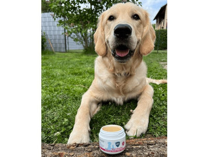 Soins de la peau Pommade cicatrisante 30 ml