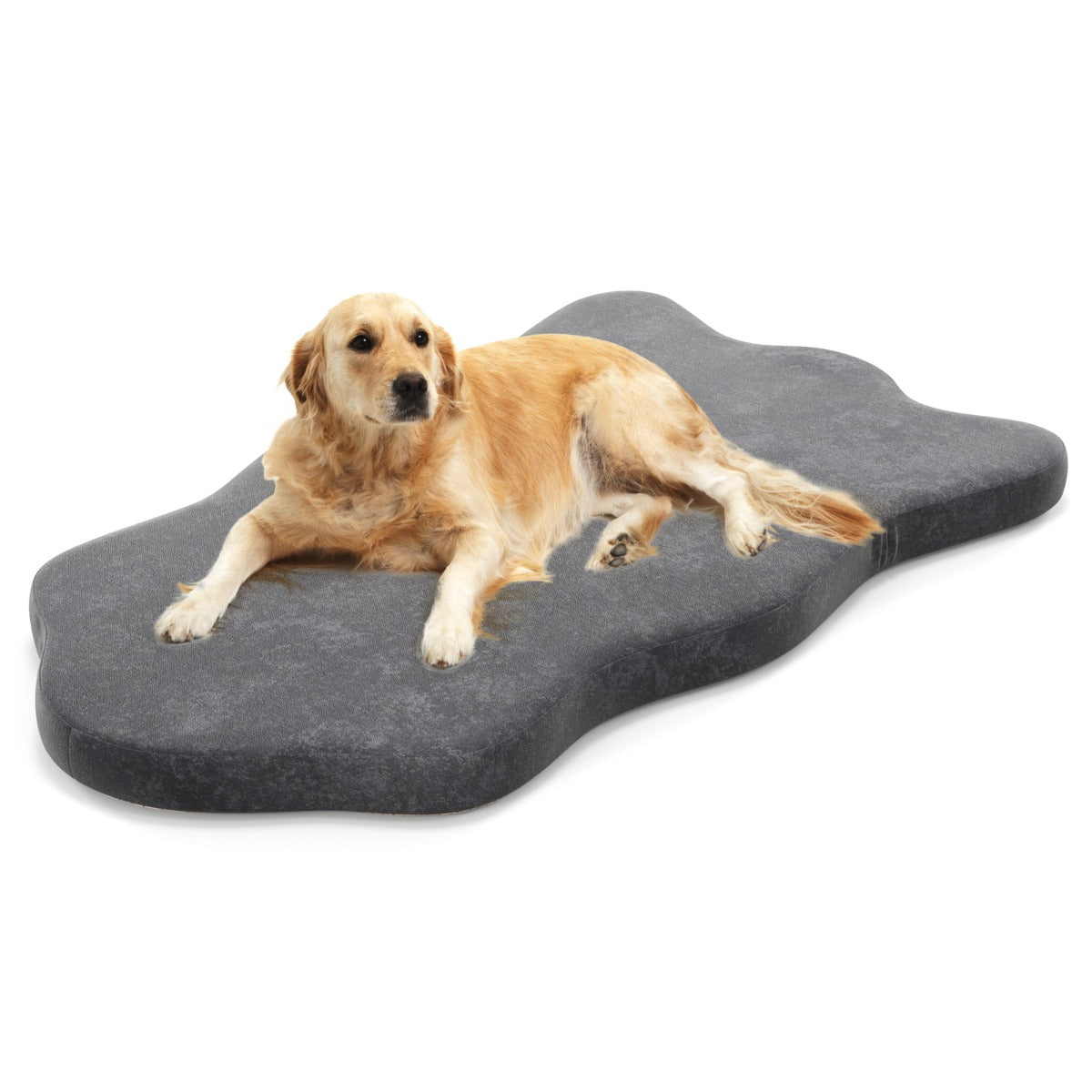 Le repos absolu - Lit orthopédique à mémoire de forme pour chien
