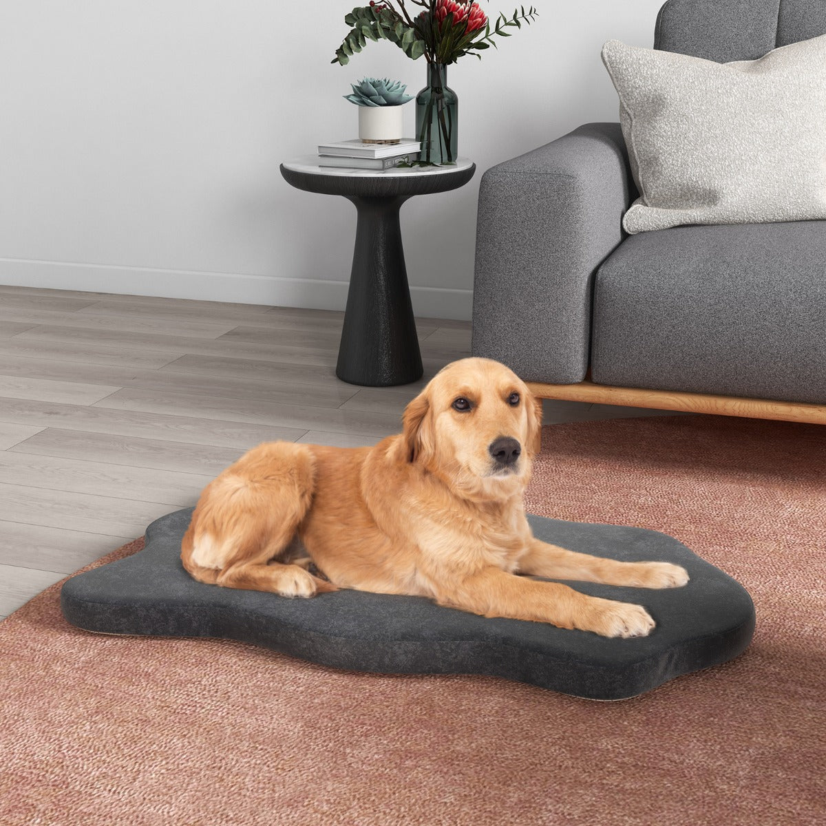 Le repos absolu - Lit orthopédique à mémoire de forme pour chien