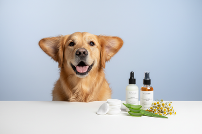 Pet Head Shampoing Quick Fix 2-en-1, 300 ml